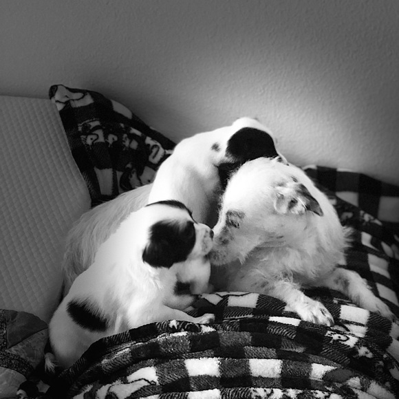 Meet your Posher, Cathy - Picture 2 of 2